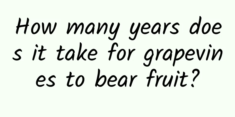 How many years does it take for grapevines to bear fruit?