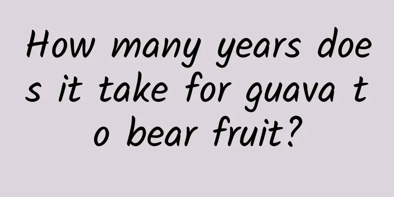 How many years does it take for guava to bear fruit?