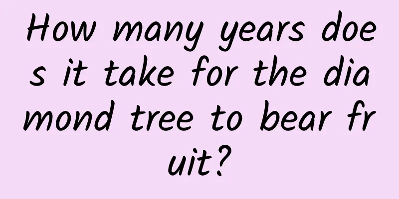 How many years does it take for the diamond tree to bear fruit?