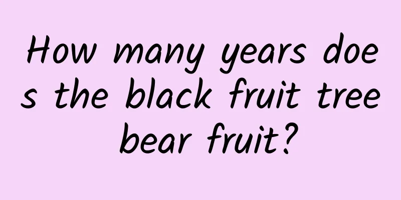 How many years does the black fruit tree bear fruit?