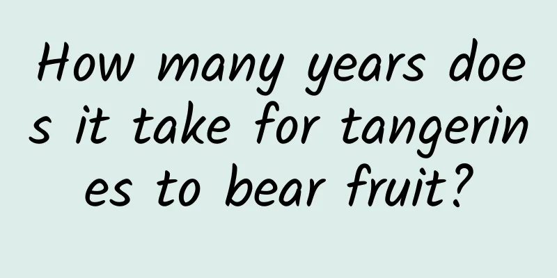 How many years does it take for tangerines to bear fruit?