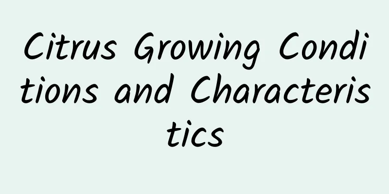 Citrus Growing Conditions and Characteristics