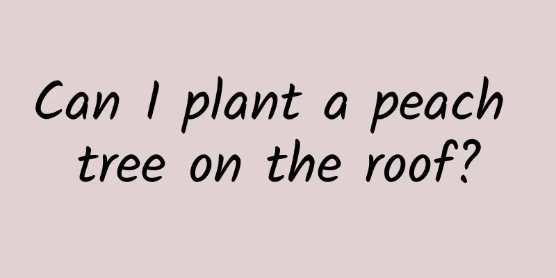 Can I plant a peach tree on the roof?