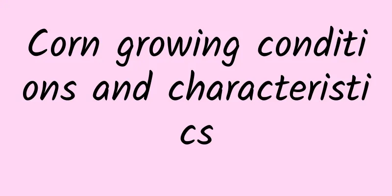 Corn growing conditions and characteristics