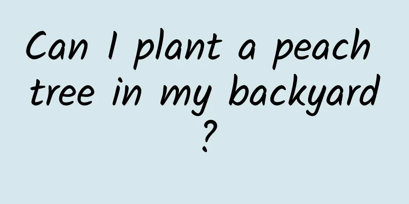 Can I plant a peach tree in my backyard?