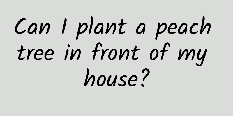 Can I plant a peach tree in front of my house?