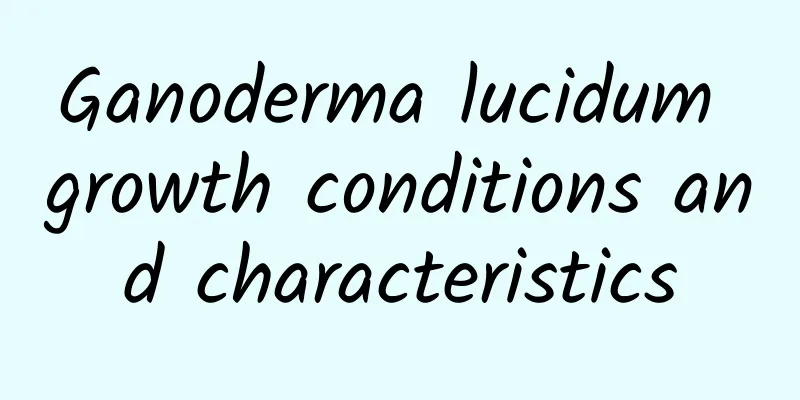 Ganoderma lucidum growth conditions and characteristics