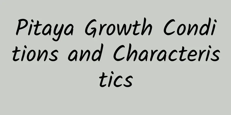 Pitaya Growth Conditions and Characteristics