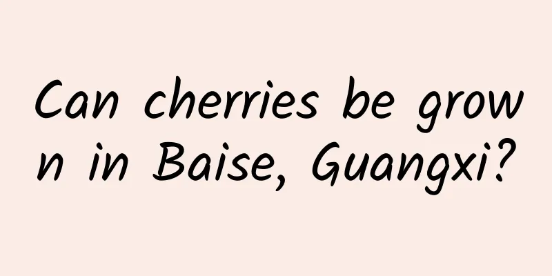 Can cherries be grown in Baise, Guangxi?