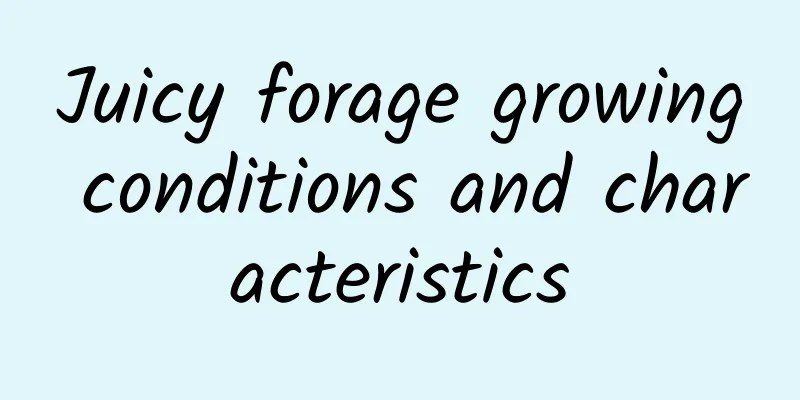 Juicy forage growing conditions and characteristics