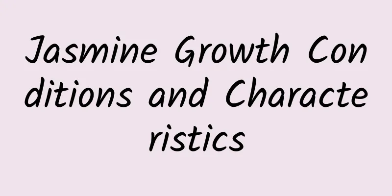 Jasmine Growth Conditions and Characteristics