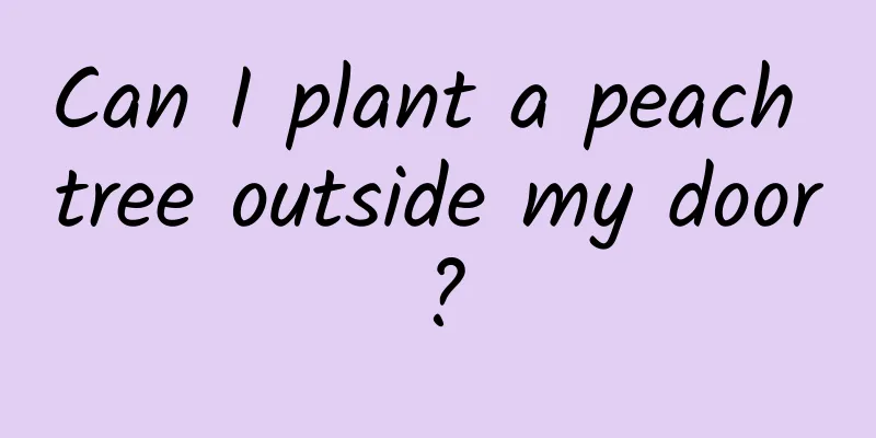 Can I plant a peach tree outside my door?