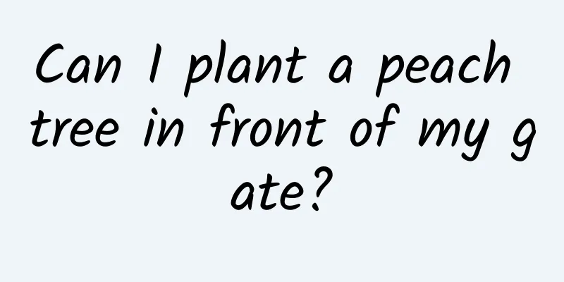Can I plant a peach tree in front of my gate?