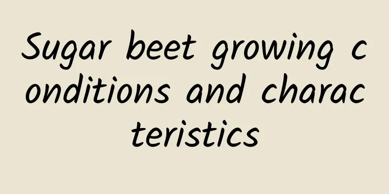Sugar beet growing conditions and characteristics