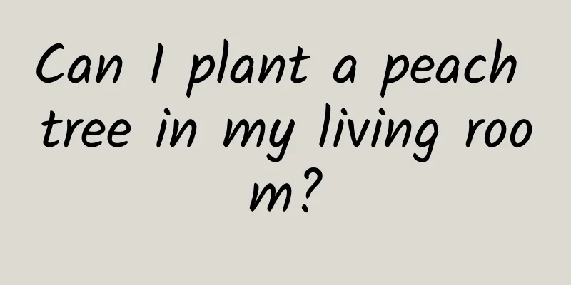Can I plant a peach tree in my living room?
