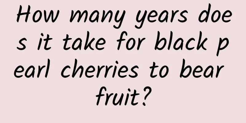 How many years does it take for black pearl cherries to bear fruit?