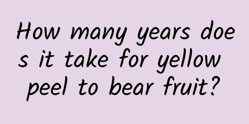 How many years does it take for yellow peel to bear fruit?