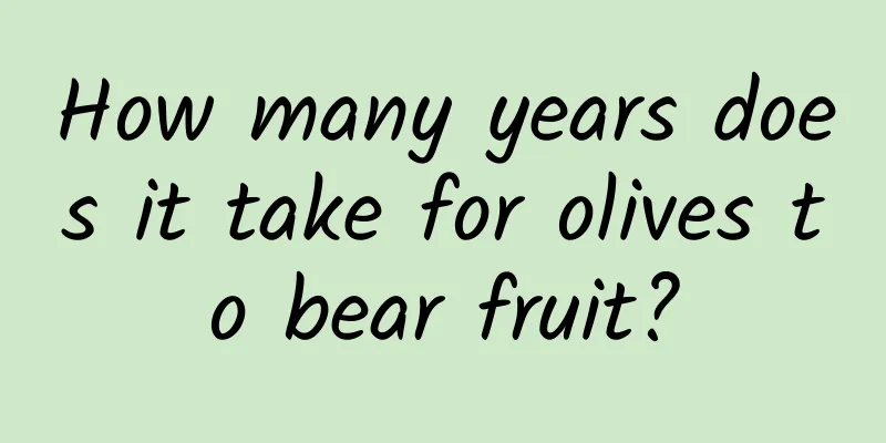 How many years does it take for olives to bear fruit?