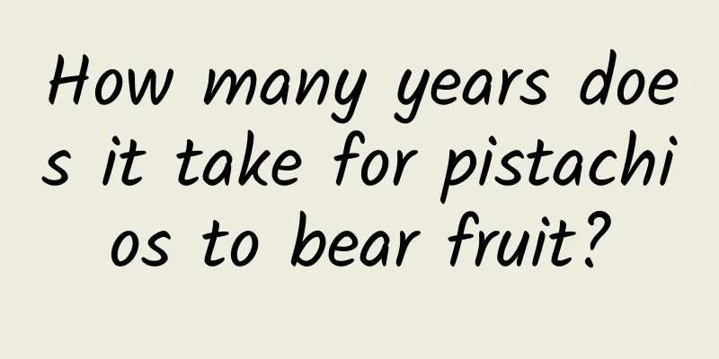 How many years does it take for pistachios to bear fruit?