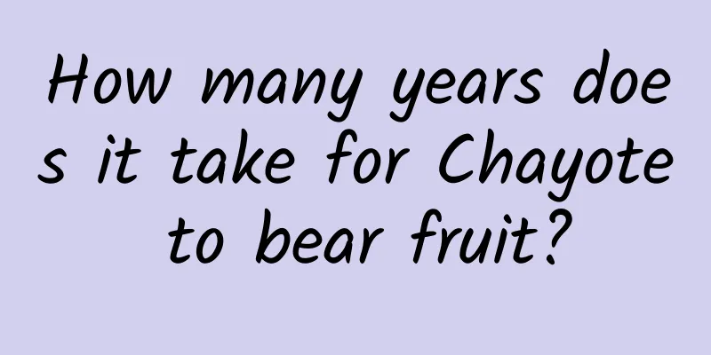 How many years does it take for Chayote to bear fruit?