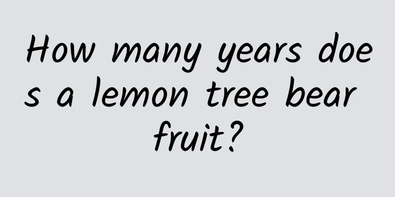 How many years does a lemon tree bear fruit?
