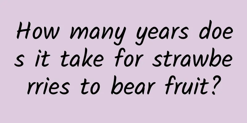 How many years does it take for strawberries to bear fruit?