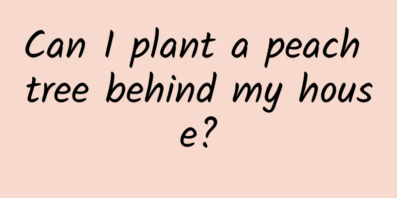 Can I plant a peach tree behind my house?