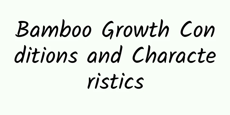 Bamboo Growth Conditions and Characteristics