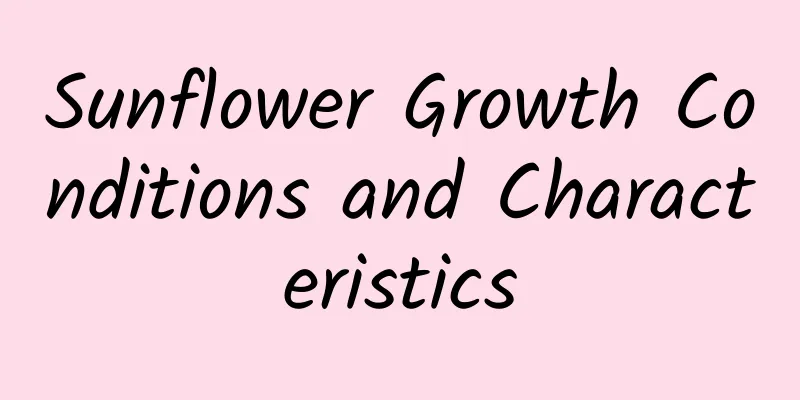 Sunflower Growth Conditions and Characteristics