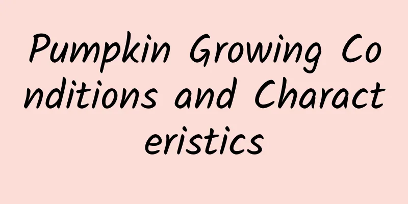 Pumpkin Growing Conditions and Characteristics