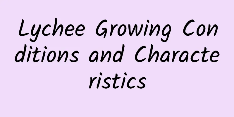 Lychee Growing Conditions and Characteristics