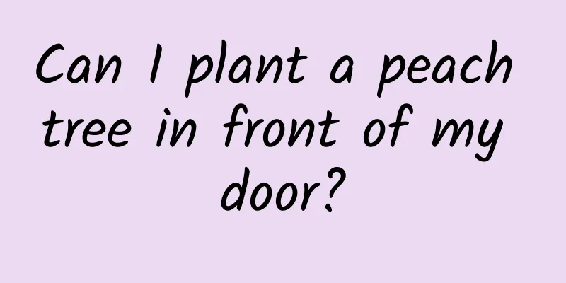 Can I plant a peach tree in front of my door?