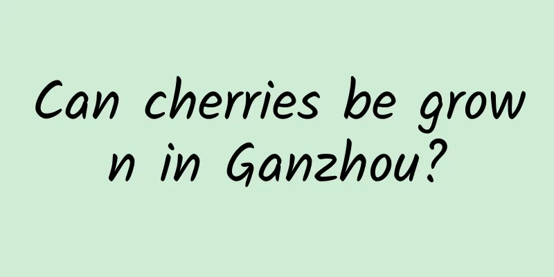 Can cherries be grown in Ganzhou?