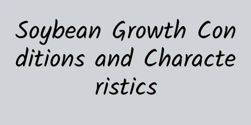 Soybean Growth Conditions and Characteristics