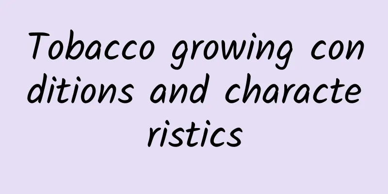 Tobacco growing conditions and characteristics