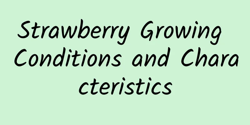 Strawberry Growing Conditions and Characteristics