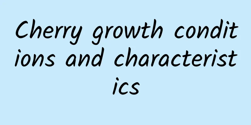 Cherry growth conditions and characteristics