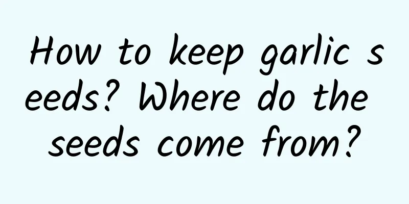 How to keep garlic seeds? Where do the seeds come from?