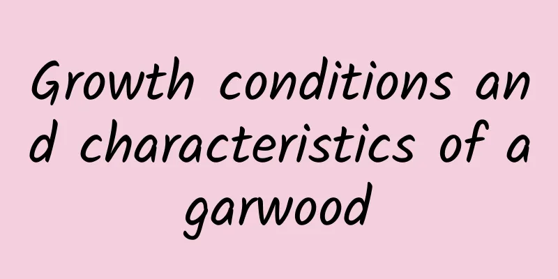 Growth conditions and characteristics of agarwood