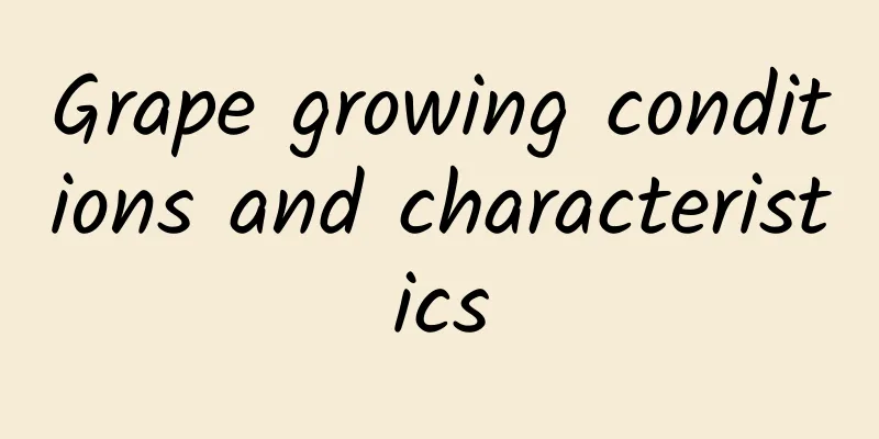 Grape growing conditions and characteristics