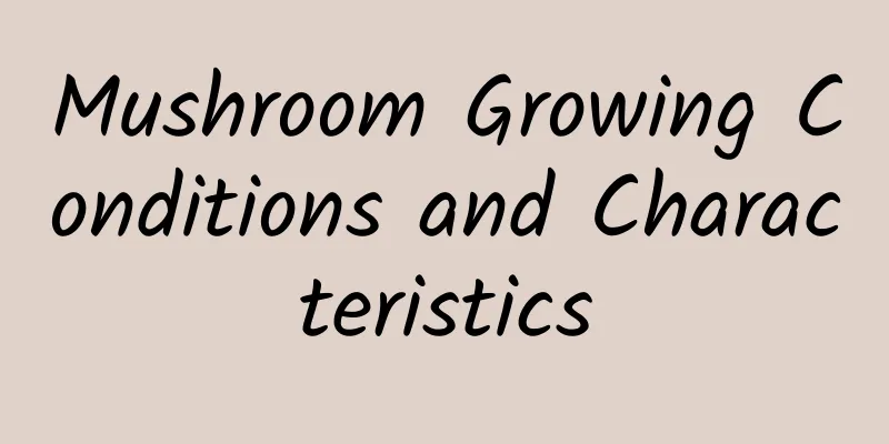 Mushroom Growing Conditions and Characteristics