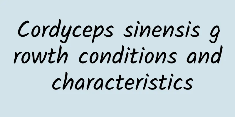 Cordyceps sinensis growth conditions and characteristics