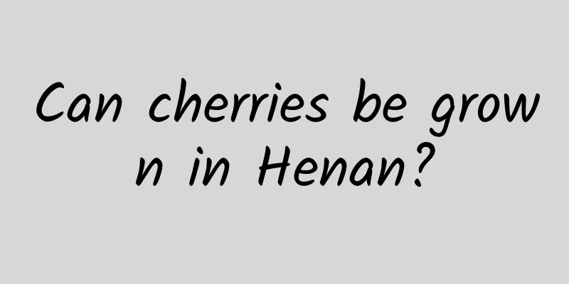 Can cherries be grown in Henan?