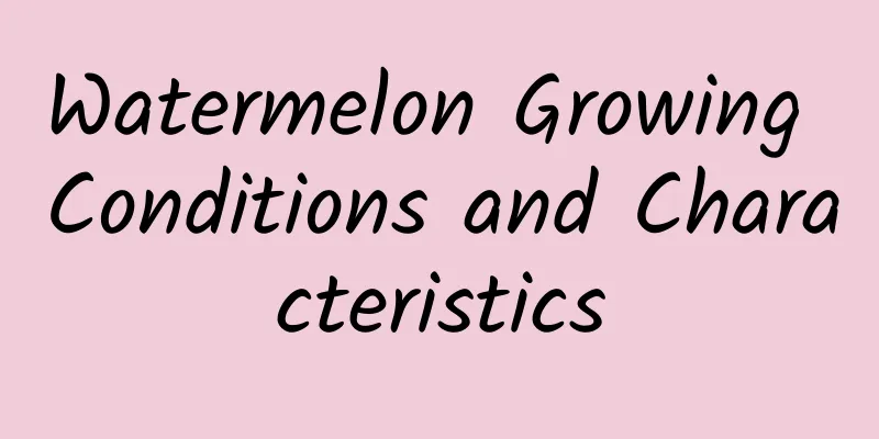 Watermelon Growing Conditions and Characteristics