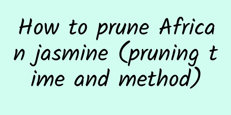 How to prune African jasmine (pruning time and method)