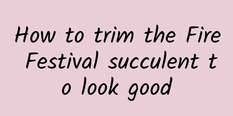 How to trim the Fire Festival succulent to look good