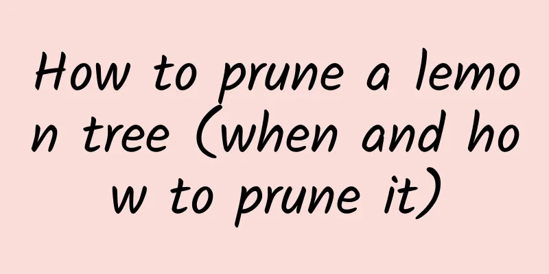 How to prune a lemon tree (when and how to prune it)