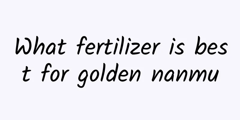 What fertilizer is best for golden nanmu