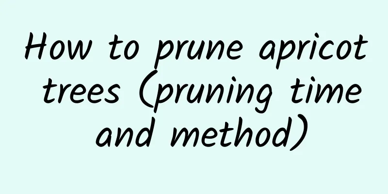 How to prune apricot trees (pruning time and method)
