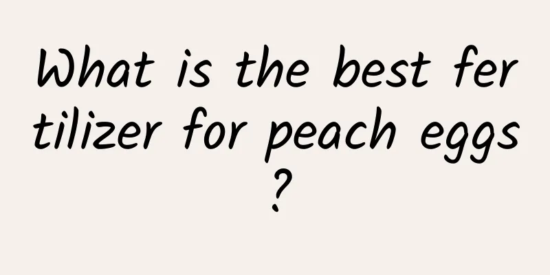 What is the best fertilizer for peach eggs?